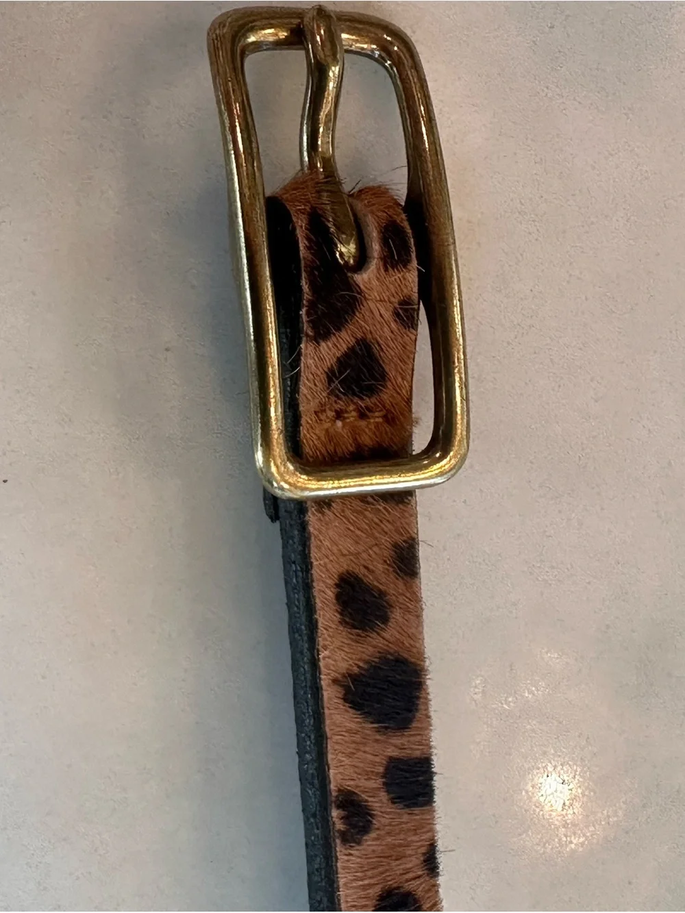 J. Crew skinny animal